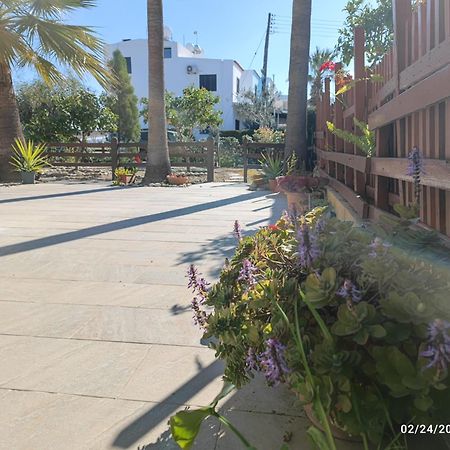 Palm Garden Paradise Перволия Екстериор снимка