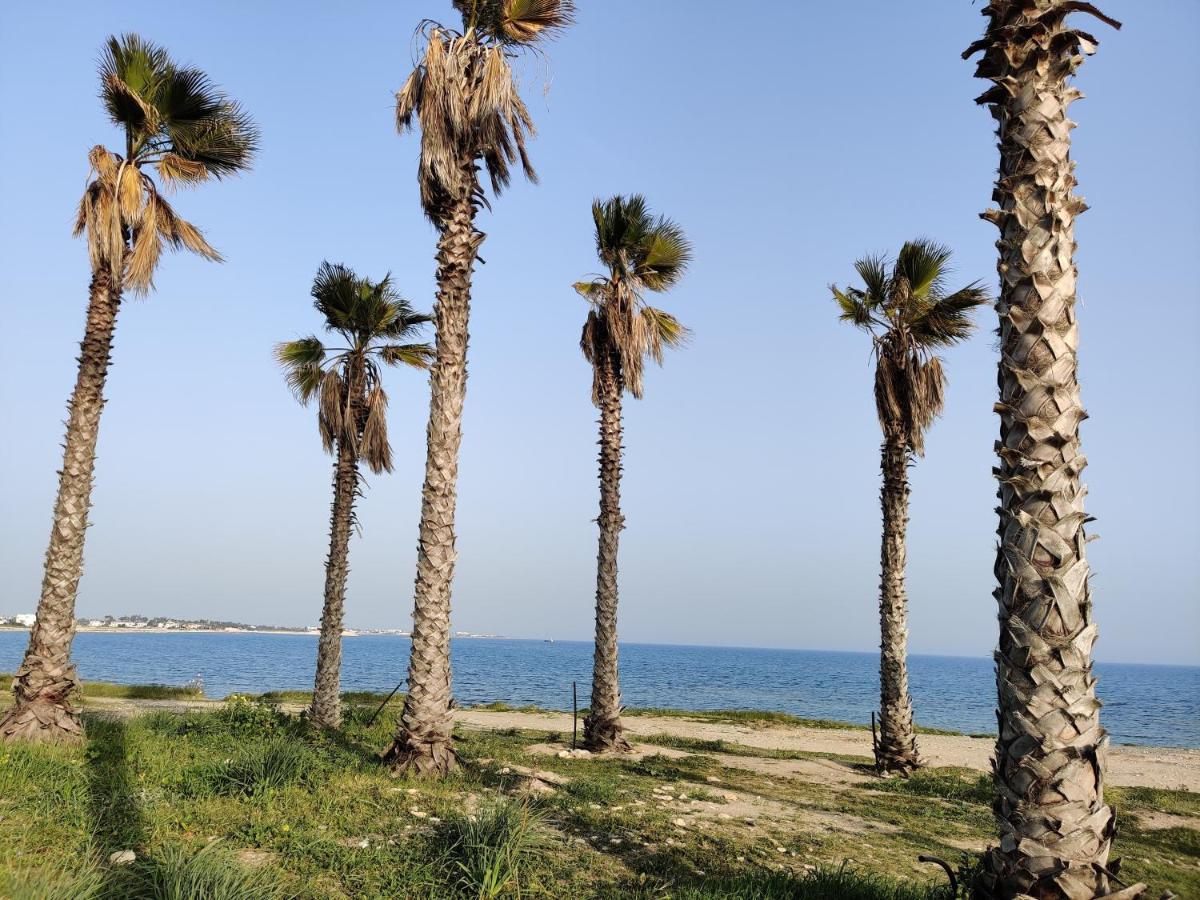 Palm Garden Paradise Перволия Екстериор снимка