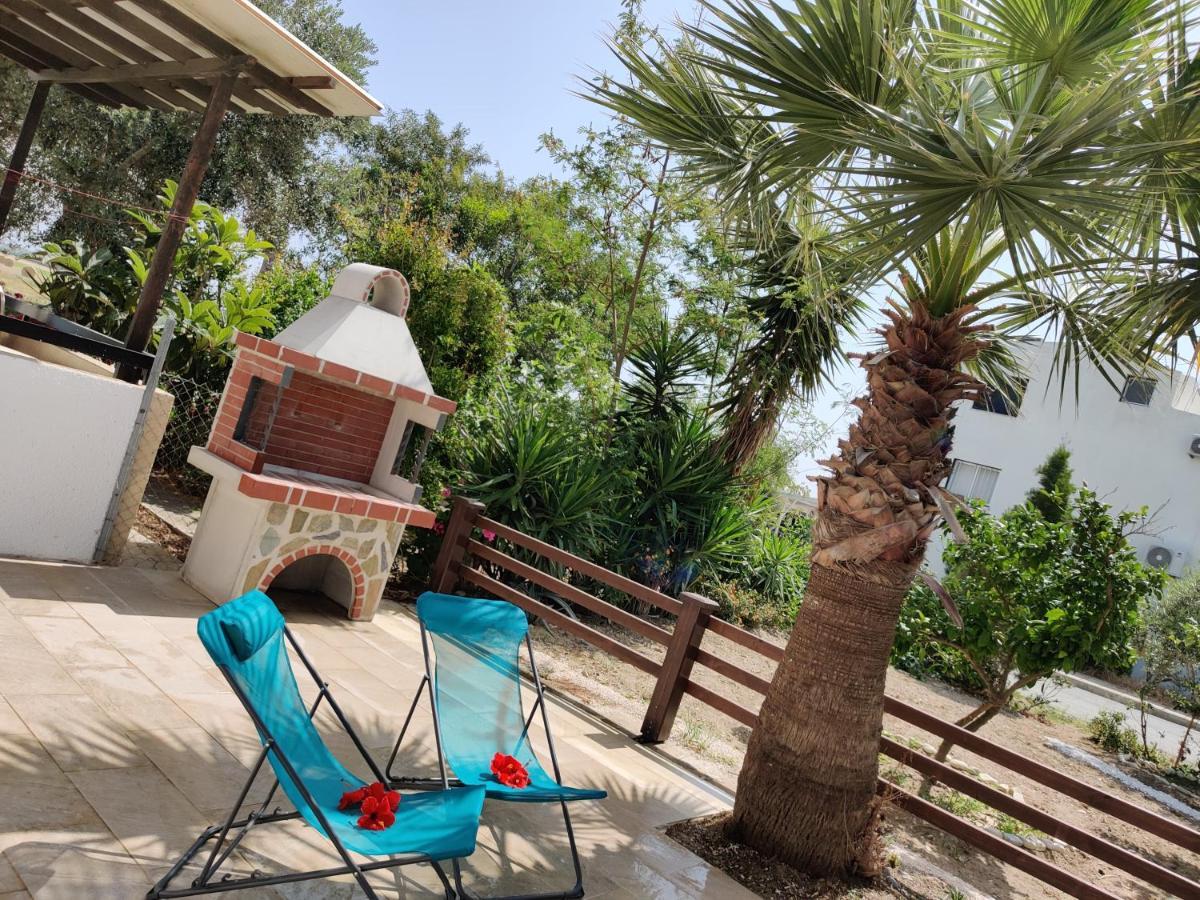 Palm Garden Paradise Перволия Екстериор снимка