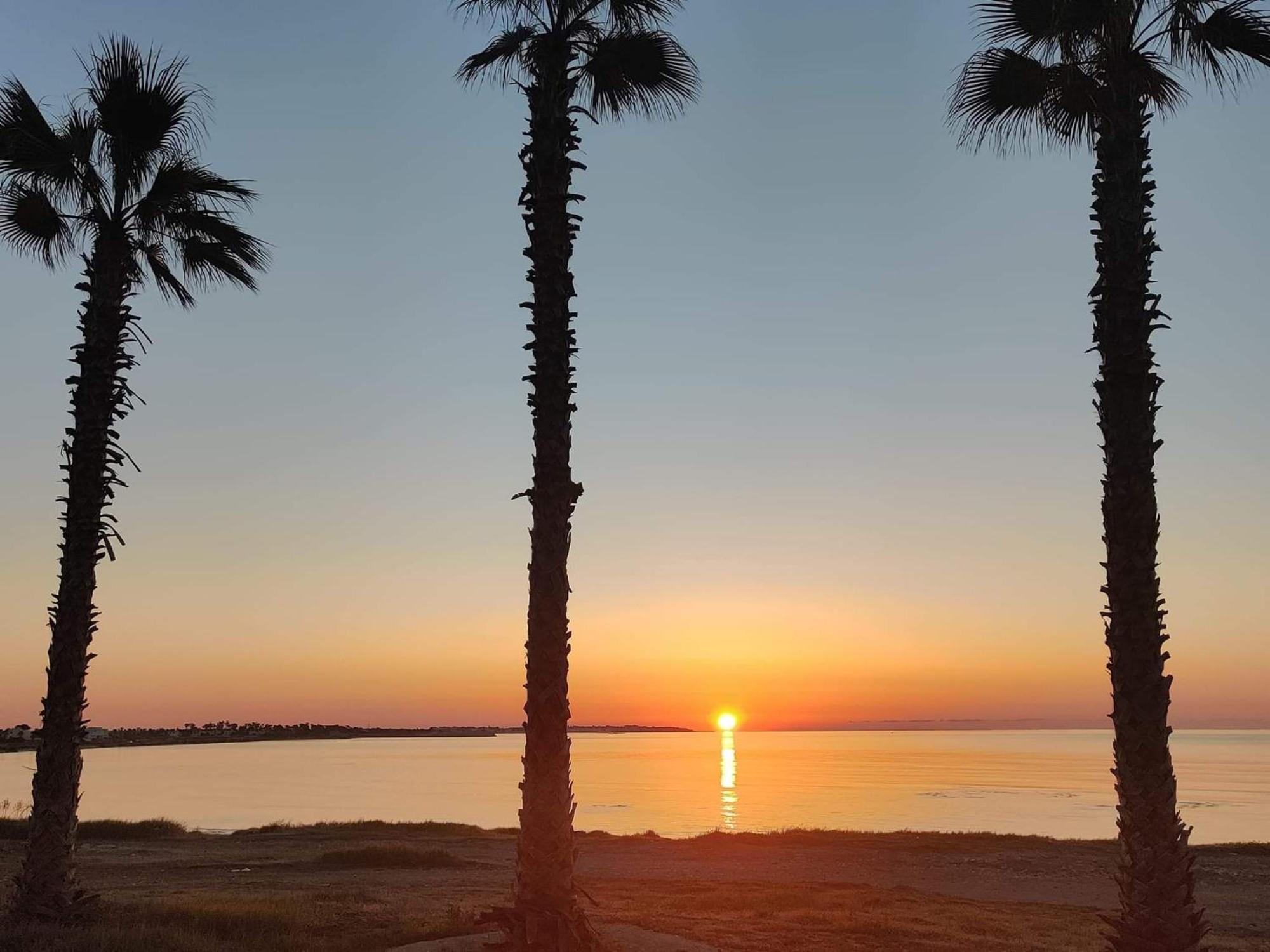 Palm Garden Paradise Перволия Екстериор снимка