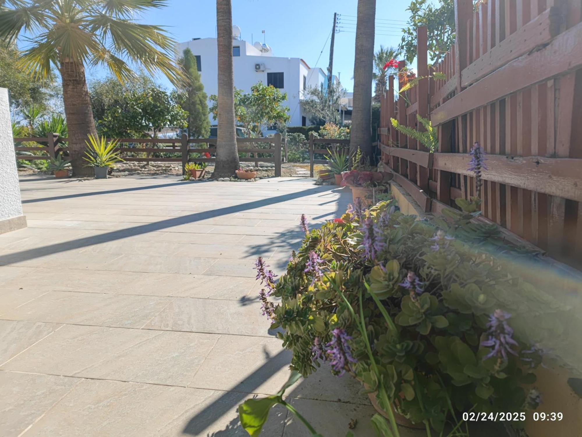 Palm Garden Paradise Перволия Екстериор снимка